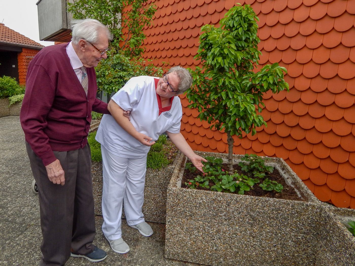 Pflegerin zeigt Senior Baum auf Terrasse
