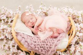 Lilly Rose